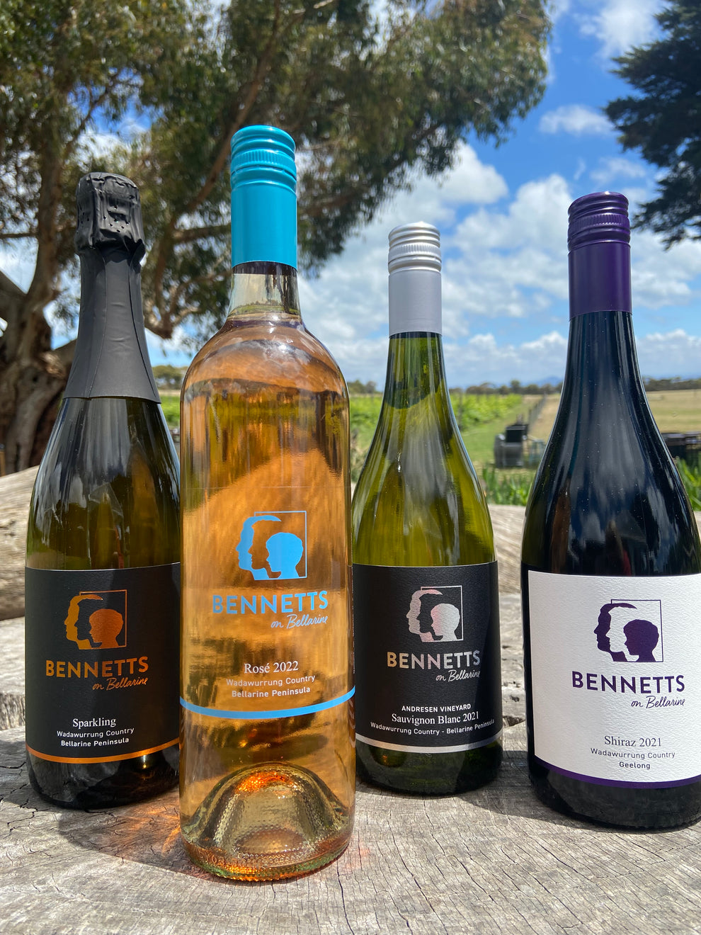 2024 Christmas Case 12Pk On Bellarine